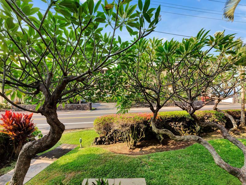 Castle Kona Bali Kai A Condominium Resort Holualoa Extérieur photo